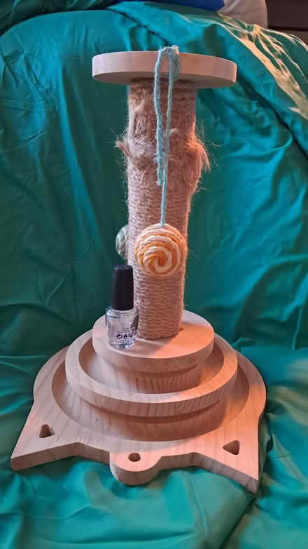 Photo of free Cat scratching post (Holloway road N4) #1