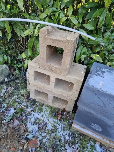 Photo of free Hollow dense concrete blocks (Binfield RG42) #1