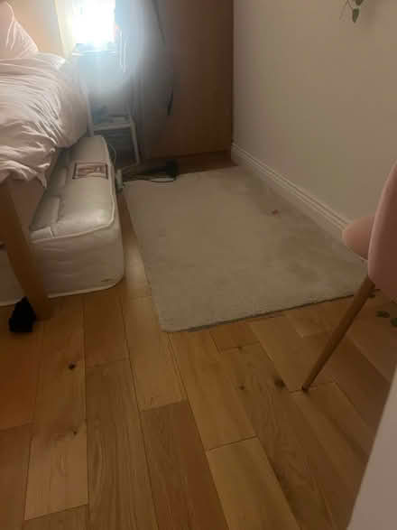 Photo of free Rugs (Dublin 4) #2