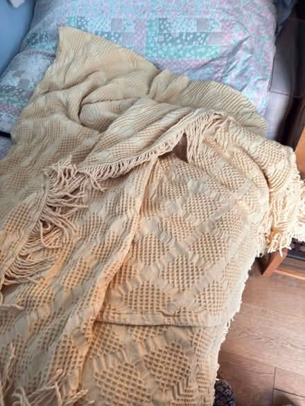 Photo of free textured Mustard Yellow candlewick bedspread (Newlyn TR18) #1