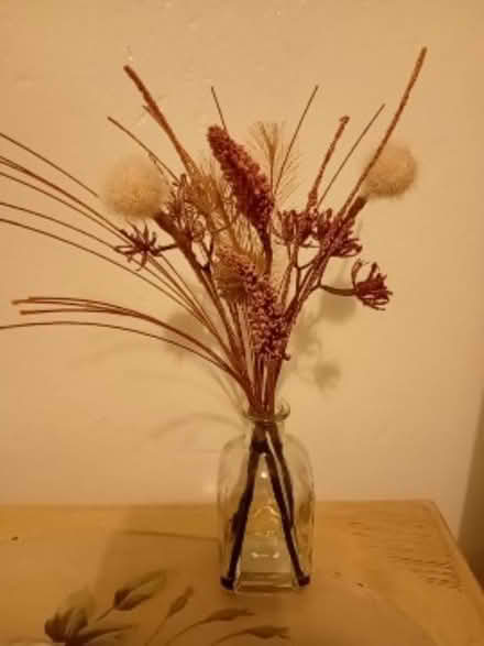 Photo of free Dry flower in vase (Camborne, Cornwall) #1