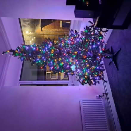 Photo of free 6ft Christmas Tree (DE23 8NR) #1