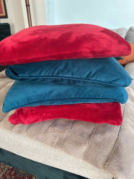 Photo of free 4 x cushions (Southsea PO5) #1