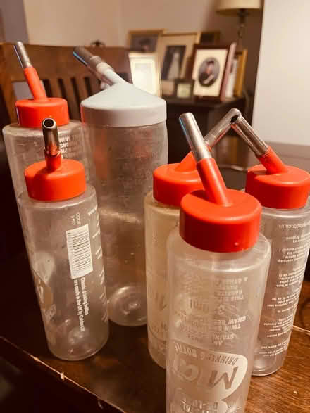 Photo of free Rabbit or guinea pig bottles (Bs30) #1
