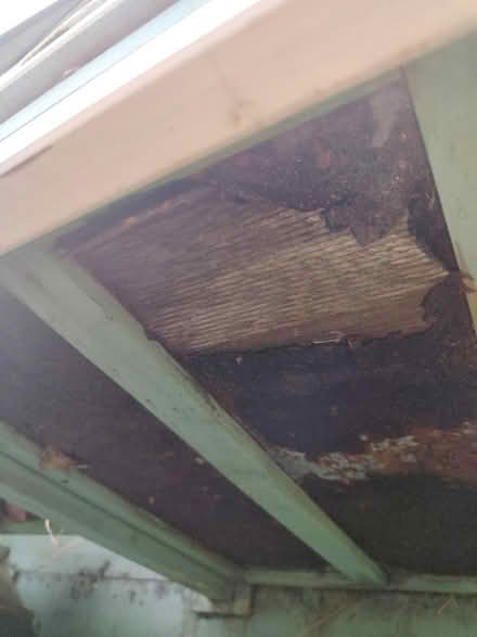 Photo of free Rabbit hutch (Pensby CH61) #3