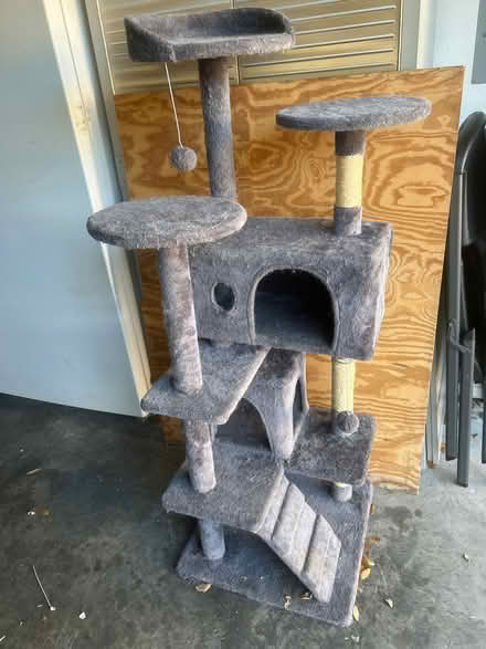 Photo of free Used cat tree (Palm beach gardens) #1