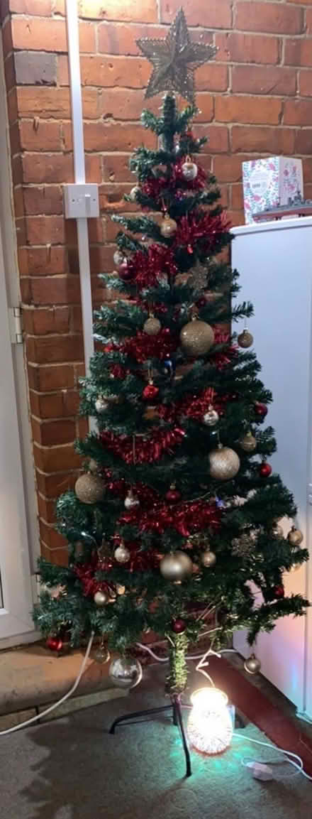 Photo of free Tree without decorations (Southsea PO5) #1
