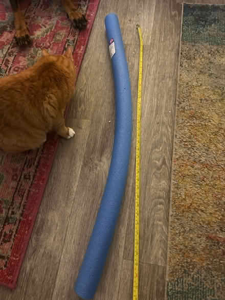 Photo of free Partial pool noodle (North Hollywood) #1