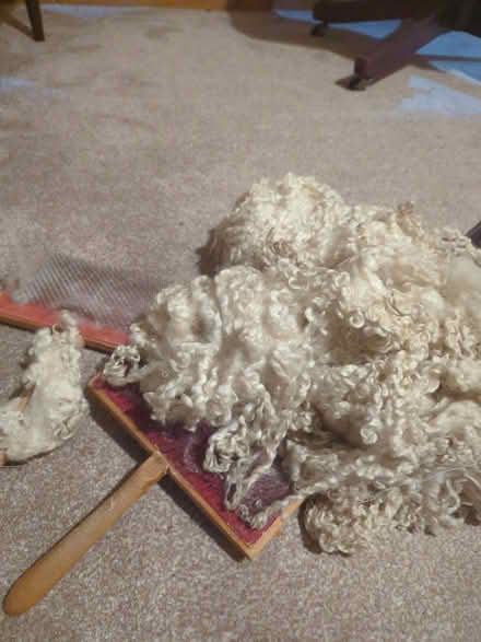 Photo of free Fleece, carder etc (Bare, LA4) #1