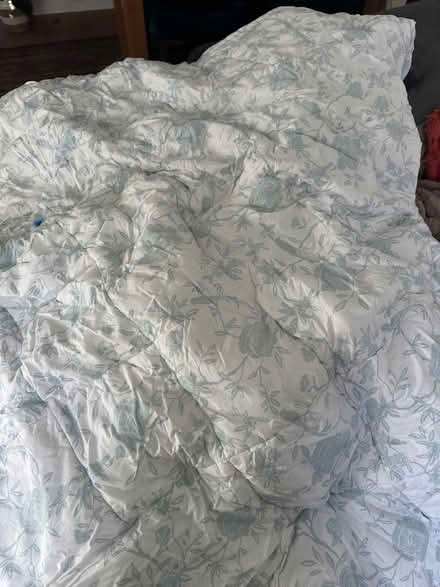 Photo of free Very large white and blue/green bedspread throw (Southsea PO5) #2