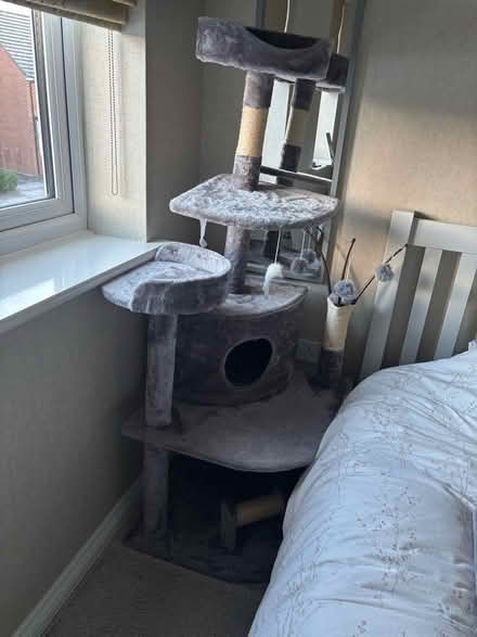 Photo of free Cat tree activity centre (Berwick Grange SY1) #3