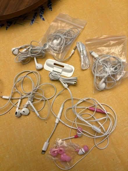 Photo of free Apple earbuds and connectors (Saratoga) #2