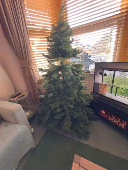 Photo of free Artificial Christmas Tree (Newbury Park IG2) #2