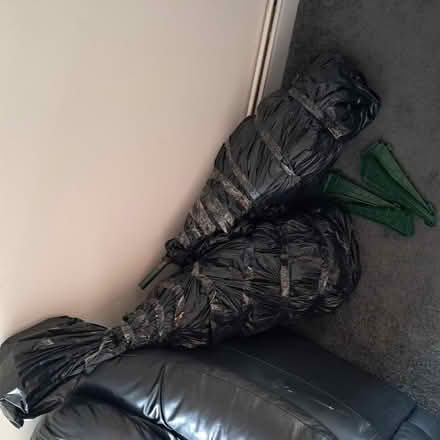 Photo of free 6ft Christmas Tree (DE23 8NR) #2