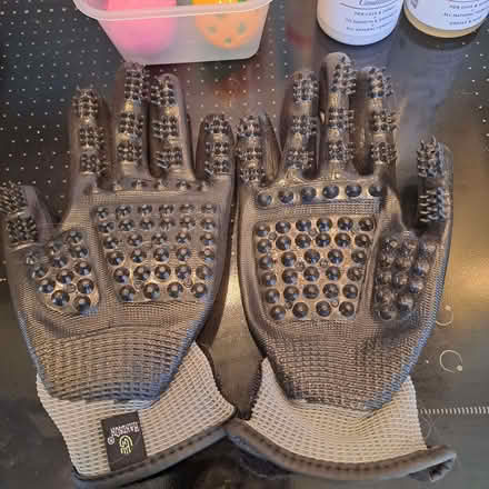 Photo of free Pet grooming gloves (Old Town TN40) #1