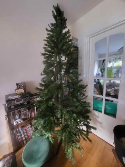Photo of free 6ft 5 Christmas Tree (Prenton CH43) #1