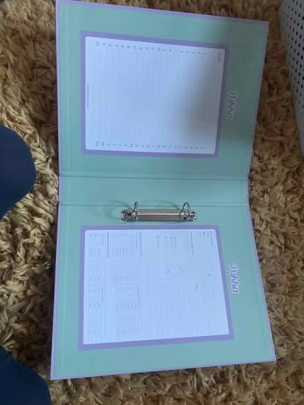 Photo of free A4 ring binder file (SW11 Battersea) #2