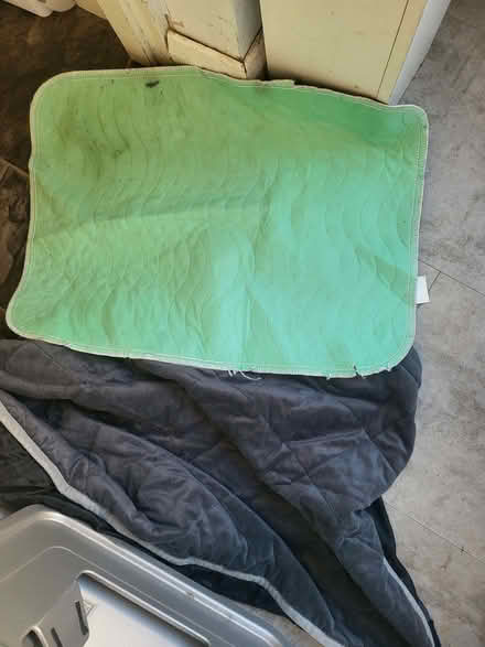 Photo of free Reusable Puppy mats (Moor Allerton LS17) #1