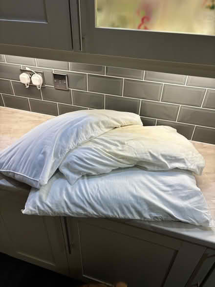 Photo of free 3 pillows (Cosby) #1