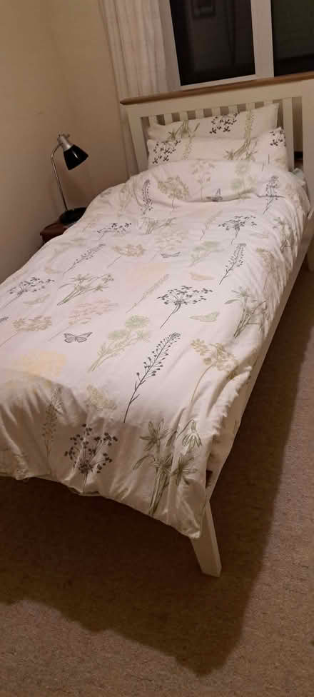 Photo of free 2 single duvet covers and 4 pillow casesg (Wells BA5) #1