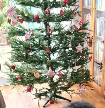 Photo of free B&Q artificial Christmas tree (Greasby) #1