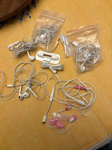 Photo of free Apple earbuds and connectors (Saratoga) #1