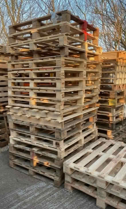 Photo of free Wooden Pallets (Foxhill S6) #1