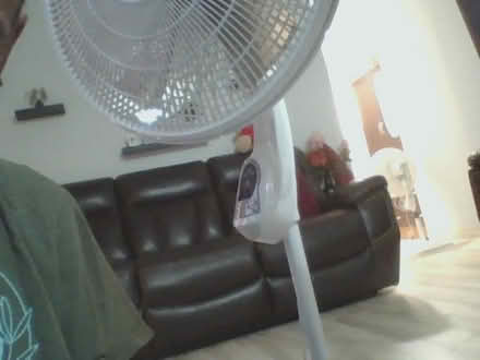 Photo of free two standing fan (new york, ny) #2