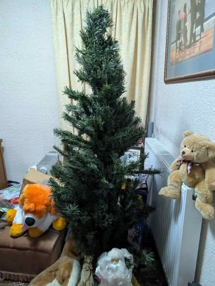 Photo of free Light up Christmas tree (lodgemoor S10) #1