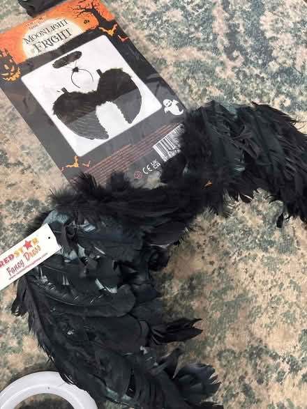 Photo of free Dark angel wings (North shields NE30) #1