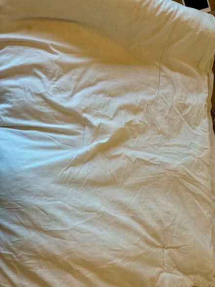Photo of free King size Duvet Debenhams Recently dry cleaned and unused (Cockermouth CA13) #2