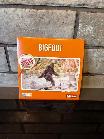 Photo of free Big Foot CD (Tilehurst RG30) #1
