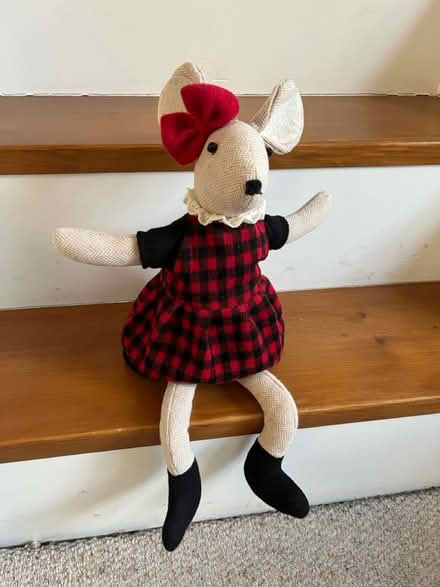 Photo of free Decorative Mouse Doorstop? (M33 near Sale Grammar School) #1