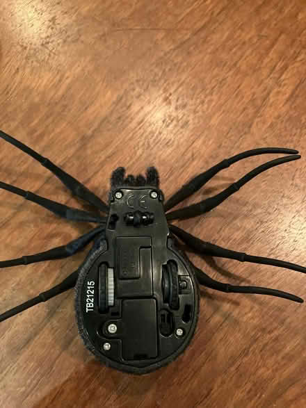 Photo of free Toy electronic spider (Greenwich/Blackheath SE10) #3