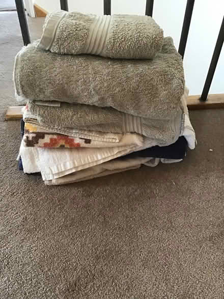 Photo of free Towels (Thorpe Hamlet NR1) #1