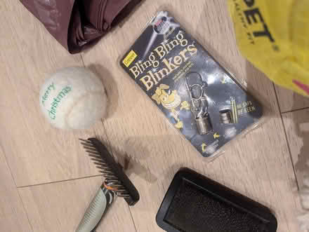 Photo of free Assorted dog stuff (SE16) #2