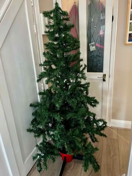 Photo of free Christmas Tree (Bexley DA5) #2