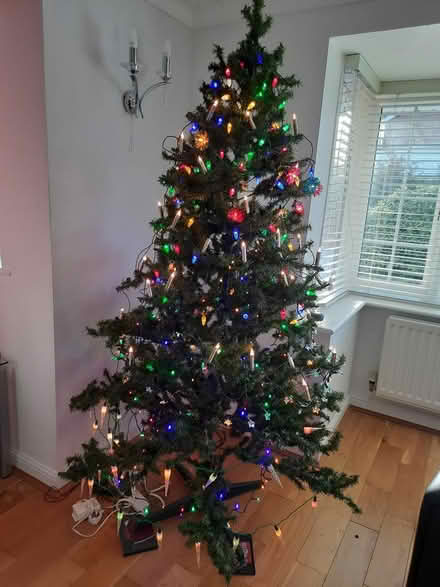 Photo of free Xmas tree (Solihull B91) #2