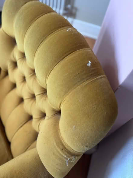 Photo of free Mustard Armchair (Hanover BN2) #3