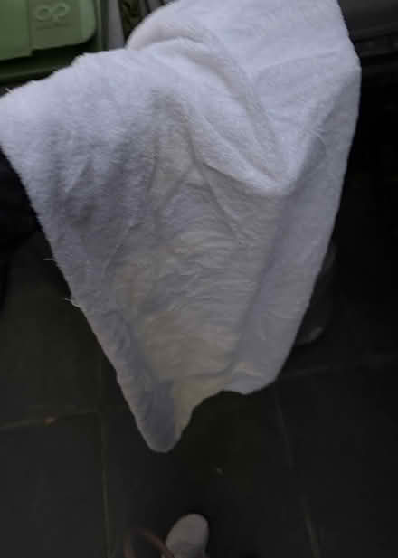 Photo of free Approx 10 white towels (N4) #2