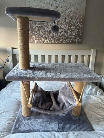 Photo of free Pets at Home Gizmo Hammock Cat Tower (Berwick Grange SY1) #2
