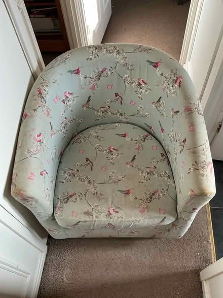 Photo of free Beautiful Birds Tub Chair (Sprowston (NR7)) #1