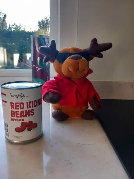 Photo of free Christmas Ornament (BN7) #1