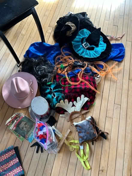 Photo of free Dress up /halloween (Wilmette) #1