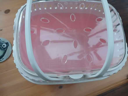 Photo of free Small Animal Carrier (high park PR9) #1