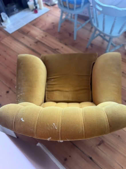 Photo of free Mustard Armchair (Hanover BN2) #2