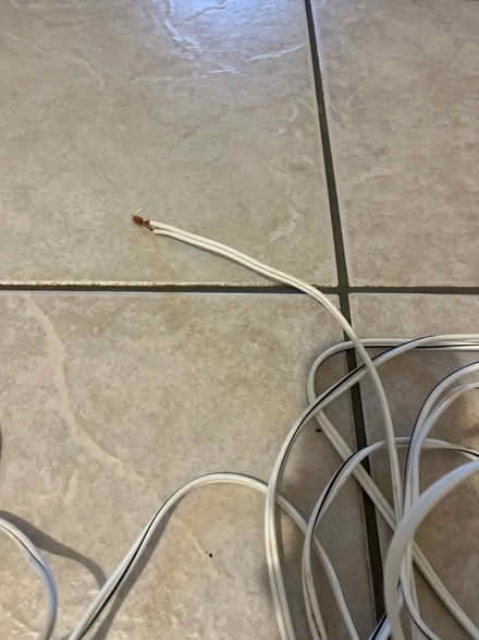 Photo of free Speaker cable (Horsham RH13) #3