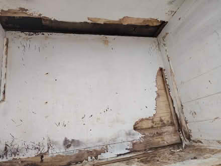 Photo of free 2 floor Rabbit hutch (Pensby CH61) #1