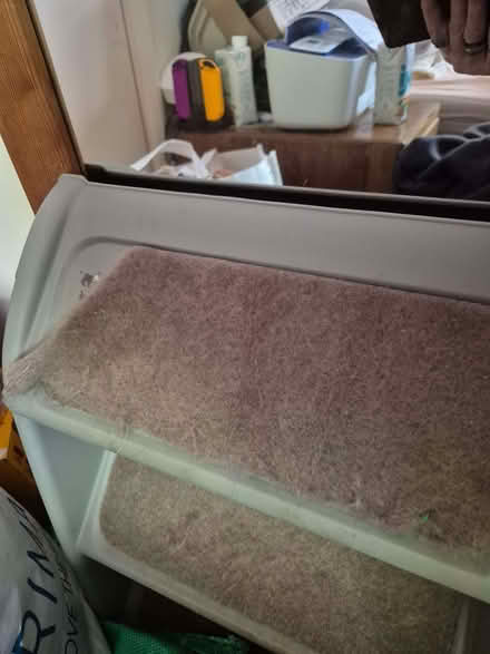 Photo of free Foldable pet steps (CT2) #1