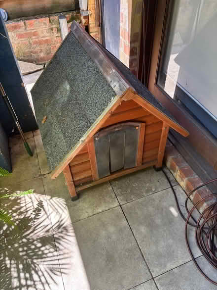 Photo of free Dog kennel, kibble and essentials (Leichhardt) #1